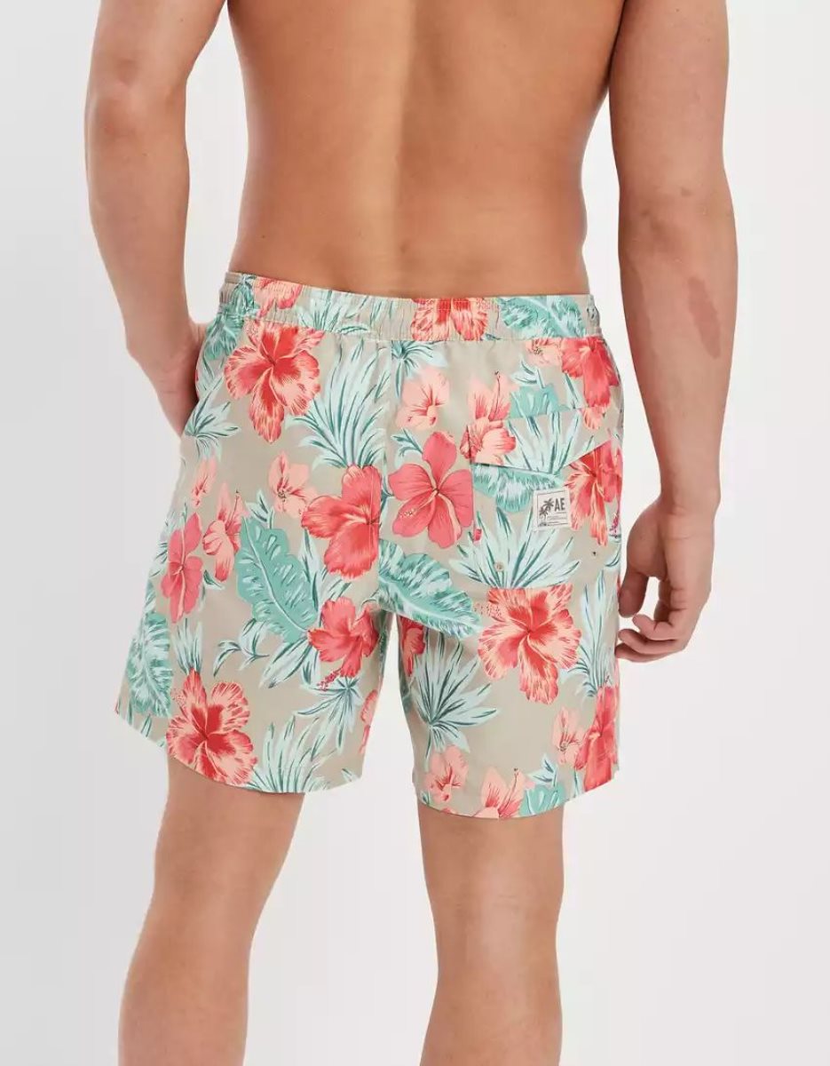 Shorts American Eagle AE 7